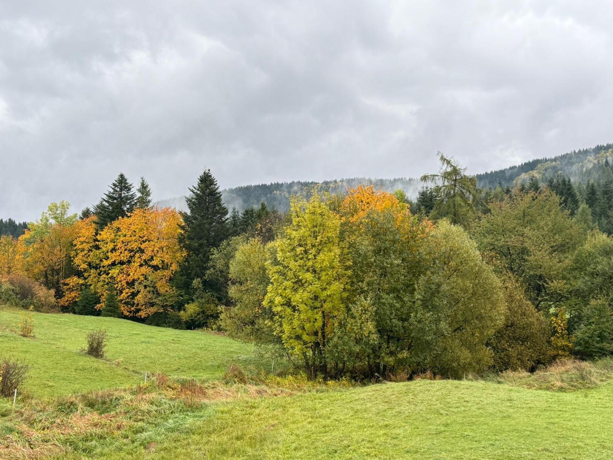 Szlak By Trafil Villa Poręba Wielka Dış mekan fotoğraf